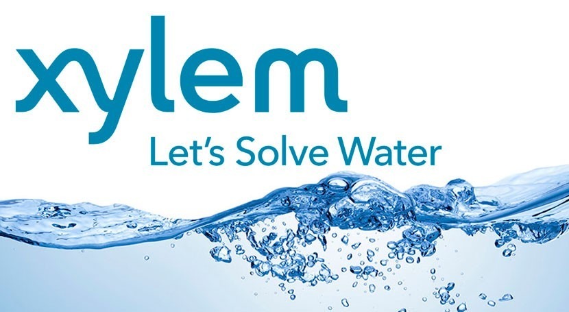 Xylem